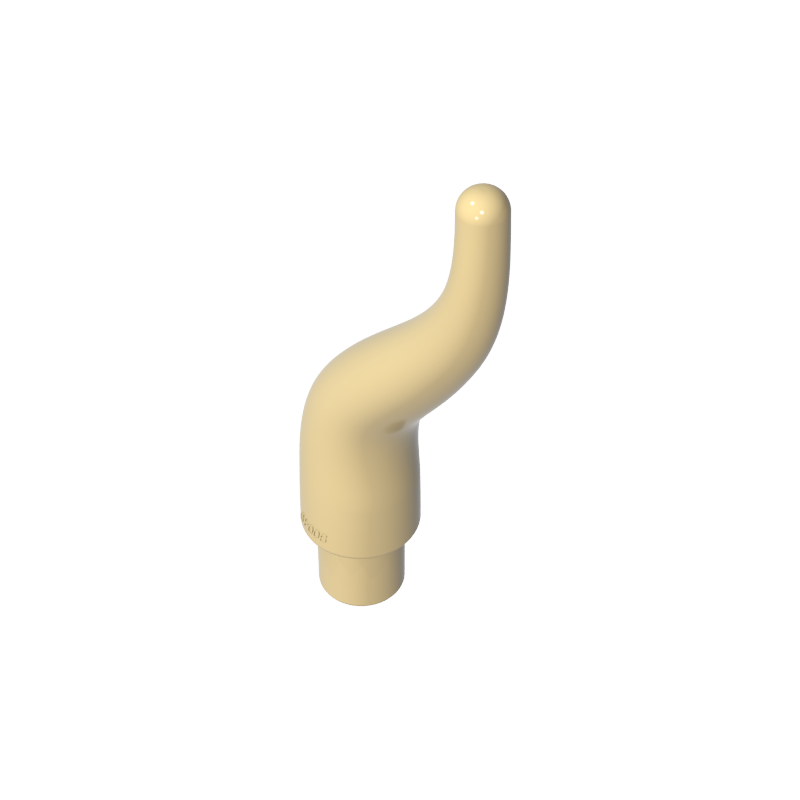 13564 | Cattle Horn, Long