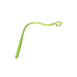 2488 | Weapon Whip / Plant Vine