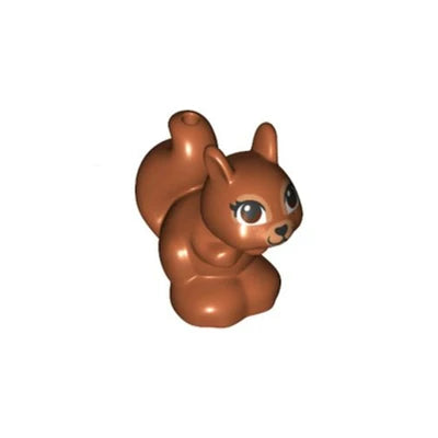 11568