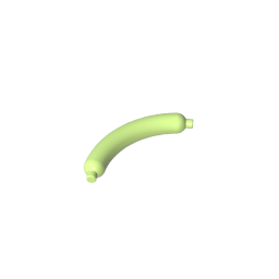 33078 | Hot Dog / Sausage