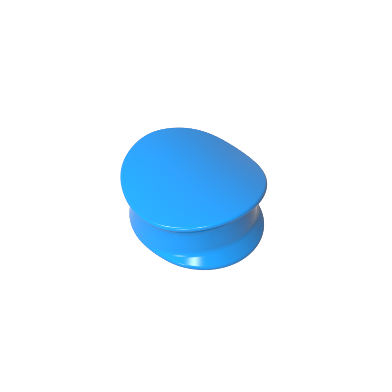 3624 | Headgear Hat, Police