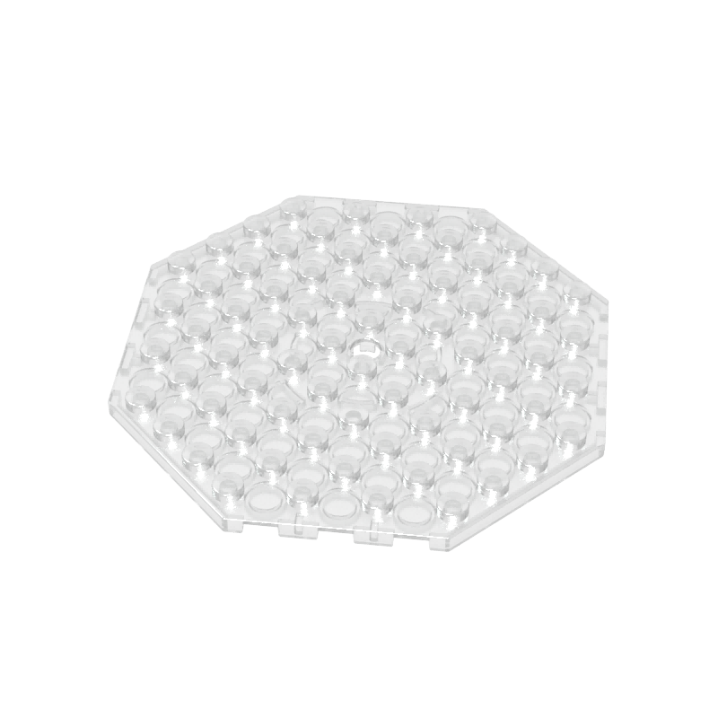 89523 | Plate, Modified 10 x 10 Octagonal with Hole