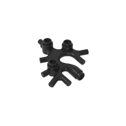 49577 | Plant Thallus / Seaweed / Coral