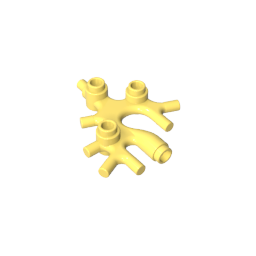49577 | Plant Thallus / Seaweed / Coral
