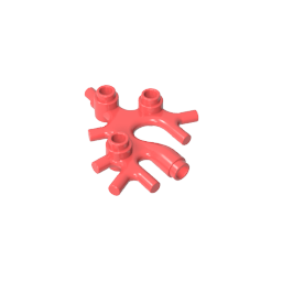 49577 | Plant Thallus / Seaweed / Coral