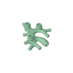 49577 | Plant Thallus / Seaweed / Coral