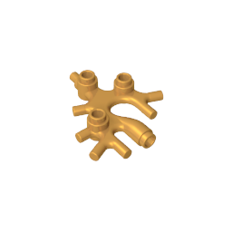 49577 | Plant Thallus / Seaweed / Coral
