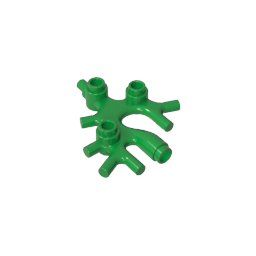 49577 | Plant Thallus / Seaweed / Coral