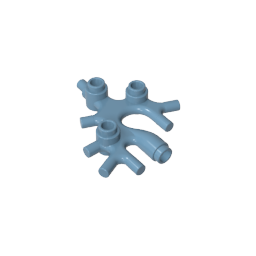 49577 | Plant Thallus / Seaweed / Coral