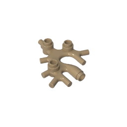 49577 | Plant Thallus / Seaweed / Coral