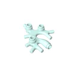 49577 | Plant Thallus / Seaweed / Coral