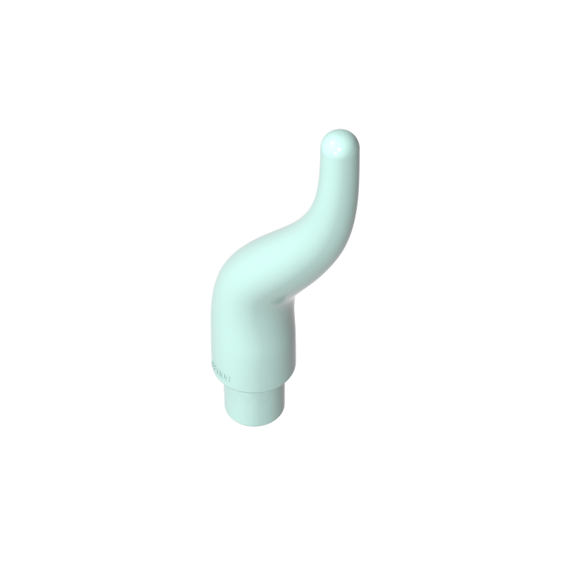 13564 | Cattle Horn, Long