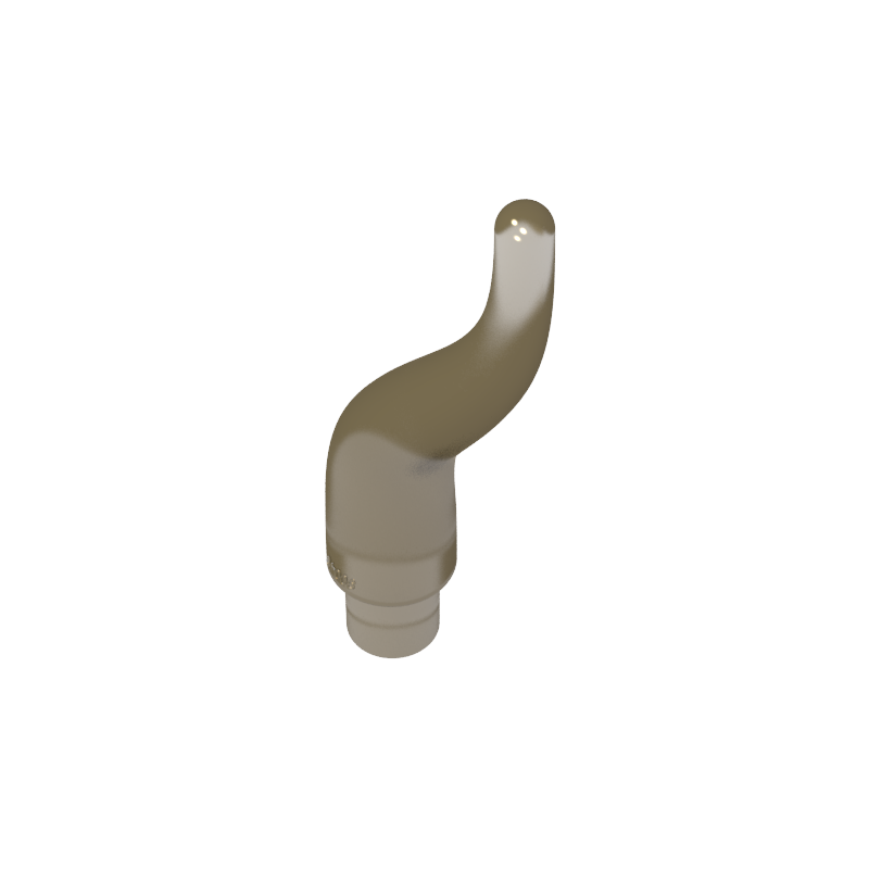 13564 | Cattle Horn, Long
