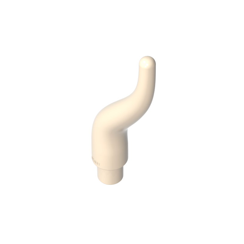 13564 | Cattle Horn, Long