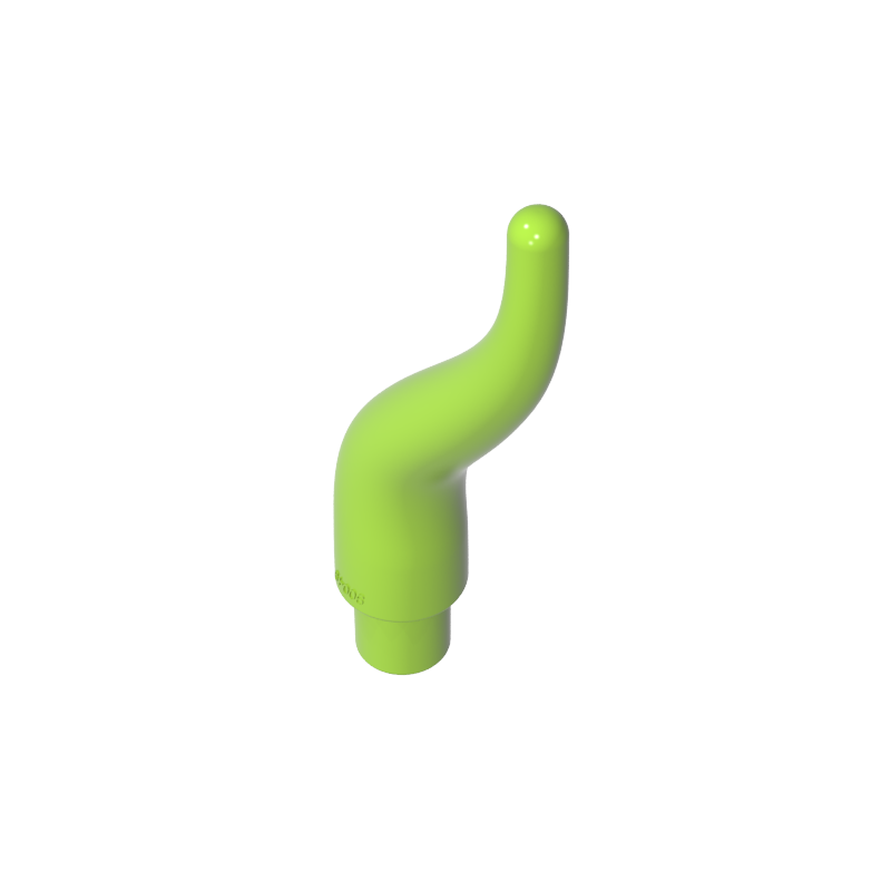 13564 | Cattle Horn, Long