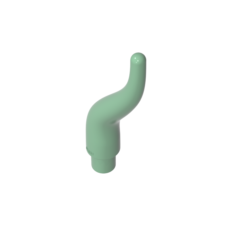13564 | Cattle Horn, Long