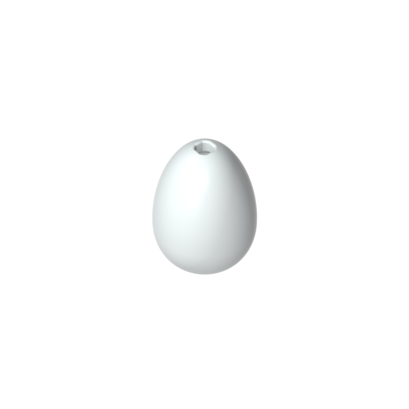 24946 | Egg with Small Pin Hole
