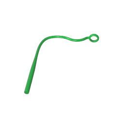 2488 | Weapon Whip / Plant Vine