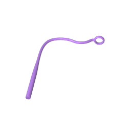2488 | Weapon Whip / Plant Vine