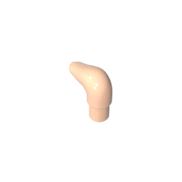 64847 | Cattle Horn, Short