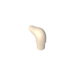 64847 | Cattle Horn, Short