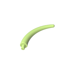 40379 | Animal, Body Part Dinosaur Tail End Section / Horn