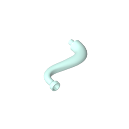43892 | Elephant Tail / Trunk with Bar End - Short Curved Tip