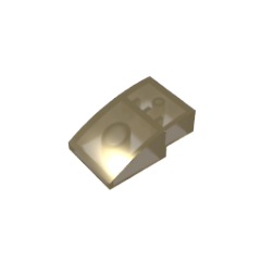 24309